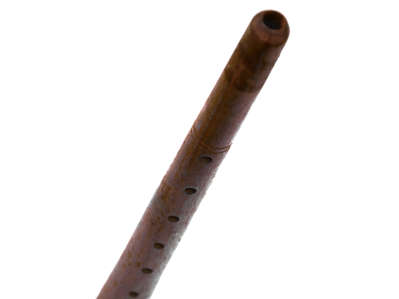 Slide Image