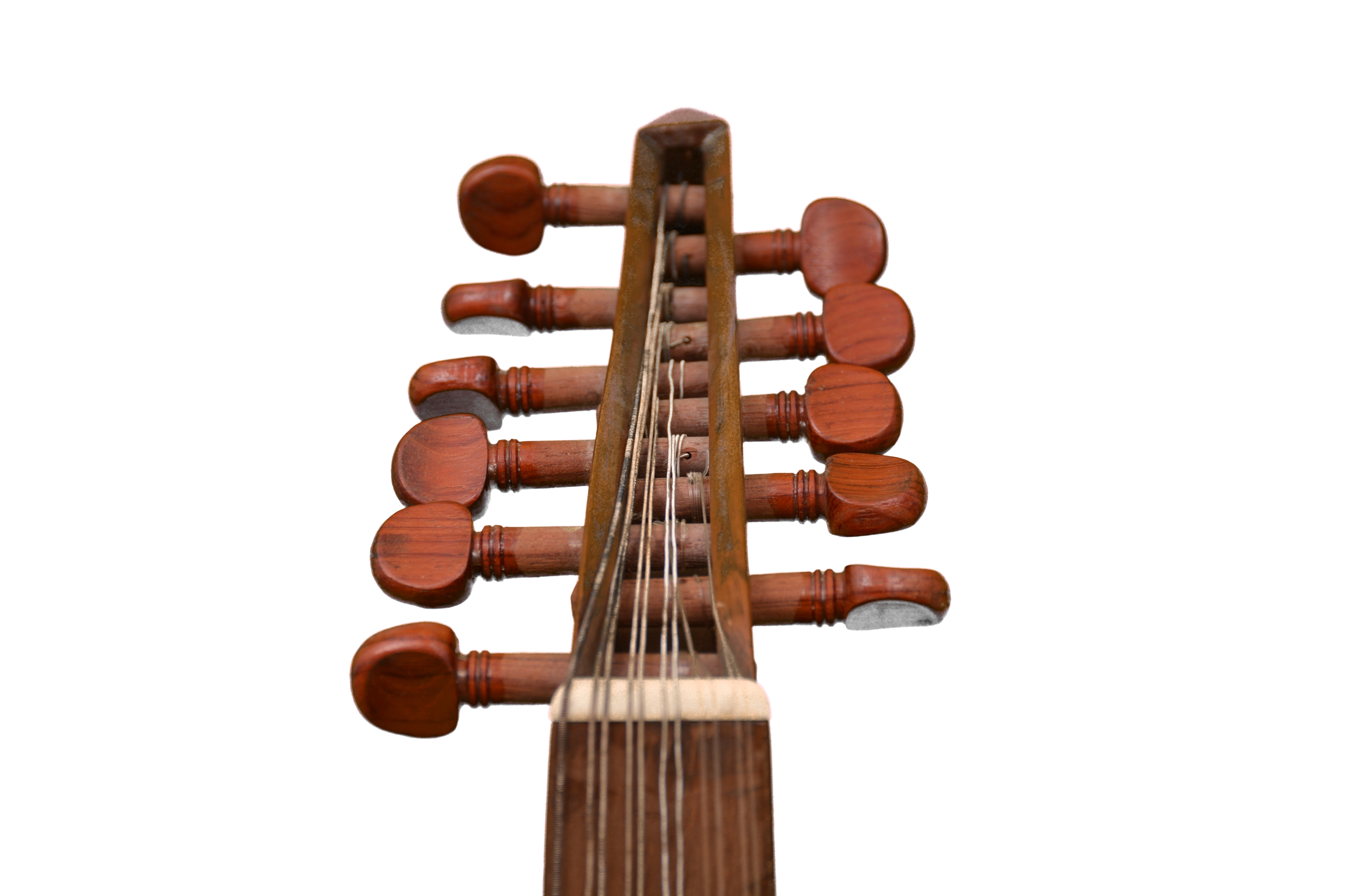 Slide Image